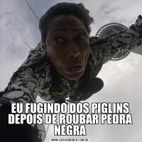 EU FUGINDO DOS PIGLINS DEPOIS DE ROUBAR PEDRA NEGRA