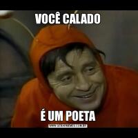 VOCÊ CALADOÉ UM POETA