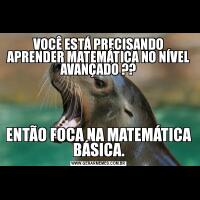 VOCÊ ESTÁ PRECISANDO APRENDER MATEMÁTICA NO NÍVEL AVANÇADO ??ENTÃO FOCA NA MATEMÁTICA BÁSICA.