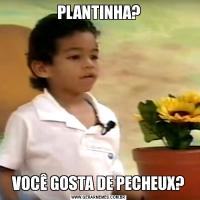 PLANTINHA?VOCÊ GOSTA DE PECHEUX?