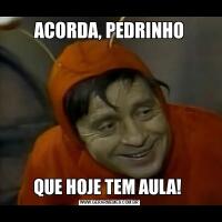 ACORDA, PEDRINHOQUE HOJE TEM AULA! 