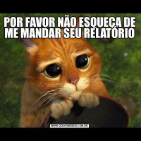 POR FAVOR NÃO ESQUEÇA DE ME MANDAR SEU RELATÓRIO 