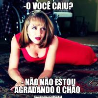 -O VOCÊ CAIU?- NÃO NÃO ESTOU AGRADANDO O CHÃO 