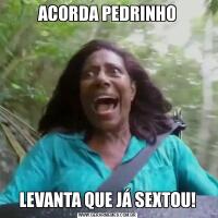 ACORDA PEDRINHOLEVANTA QUE JÁ SEXTOU!