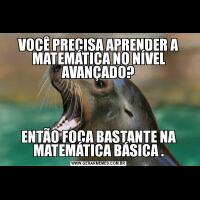 VOCÊ PRECISA APRENDER A MATEMÁTICA NO NÍVEL AVANÇADO?ENTÃO FOCA BASTANTE NA MATEMÁTICA BÁSICA .