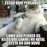 ESTOU AQUI PENSANDO:COMO VOU PERDER OS KILOS QUE GANHEI NO NATAL E FESTA DO ANO NOVO