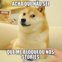 ACHA QUE NÃO SEIQUE ME BLOQUEOU NOS STORIES