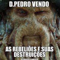 D.PEDRO VENDO AS REBELIÕES E SUAS DESTRUIÇÕES