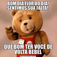 BOM DIA FLOR DO DIA! SENTIMOS SUA FALTA! QUE BOM TER VOCÊ DE VOLTA BEBEL
