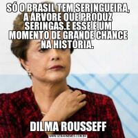 SÓ O BRASIL TEM SERINGUEIRA, A ÁRVORE QUE PRODUZ SERINGAS.E ESSE É UM MOMENTO DE GRANDE CHANCE NA HISTÓRIA. DILMA ROUSSEFF