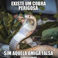 EXISTE UM COBRA PERIGOSA SIM AQUELA AMIGA FALSA