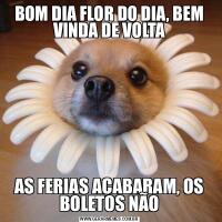 BOM DIA FLOR DO DIA, BEM VINDA DE VOLTAAS FERIAS ACABARAM, OS BOLETOS NÃO