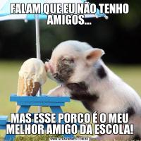 FALAM QUE EU NÃO TENHO AMIGOS...MAS ESSE PORCO É O MEU MELHOR AMIGO DA ESCOLA!