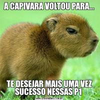 A CAPIVARA VOLTOU PARA...TE DESEJAR MAIS UMA VEZ SUCESSO NESSAS P1 