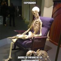 ESPERANDO ANDREZA CHEGAR DE SP