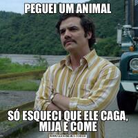 PEGUEI UM ANIMALSÓ ESQUECI QUE ELE CAGA, MIJA E COME