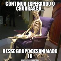 CONTINUO ESPERANDO O CHURRASCO...DESSE GRUPO DESANIMADO !!!
