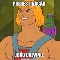 PREDESTINAÇÃO JOÃO CALVINO: