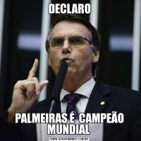 DECLAROPALMEIRAS É  CAMPEÃO MUNDIAL 