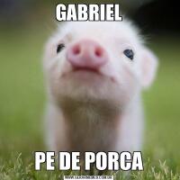 GABRIELPE DE PORCA