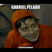 GABRIEL PELADO