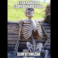 ESPERANDO A CAMPANHA RODAR SEM OTIMIZAR