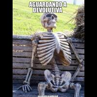 AGUARDANDO A DEVOLUTIVA 