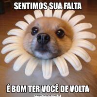 SENTIMOS SUA FALTAÉ BOM TER VOCÊ DE VOLTA