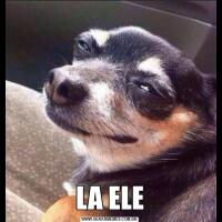 LA ELE