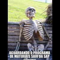 AGUARDANDO O PROGRAMA DE MATERIAIS SAIR DA SAP