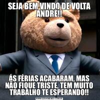 SEJA BEM VINDO DE VOLTA ANDRÉ!!ÁS FÉRIAS ACABARAM, MAS NÃO FIQUE TRISTE, TEM MUITO TRABALHO TE ESPERANDO!!