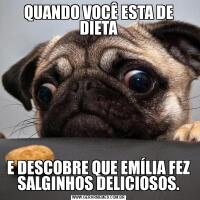 QUANDO VOCÊ ESTA DE DIETAE DESCOBRE QUE EMÍLIA FEZ SALGINHOS DELICIOSOS.