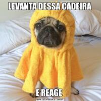 LEVANTA DESSA CADEIRAE REAGE 