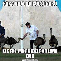 POXA VIDA DO BOLSONAROELE FOI  MORDIDO POR UMA EMA