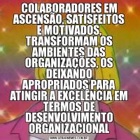 COLABORADORES EM ASCENSÃO, SATISFEITOS
E MOTIVADOS, TRANSFORMAM OS AMBIENTES DAS ORGANIZAÇÕES, OS DEIXANDO
APROPRIADOS PARA ATINGIR A EXCELÊNCIA EM TERMOS DE DESENVOLVIMENTO
ORGANIZACIONAL