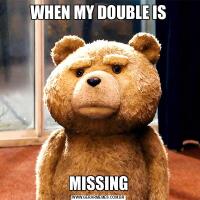 WHEN MY DOUBLE ISMISSING