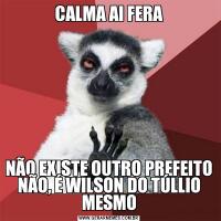 CALMA AI FERANÃO EXISTE OUTRO PREFEITO NÃO, É WILSON DO TÚLLIO MESMO