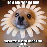 BOM DIA FLOR DO DIA!SUAS NOTAS TE ESPERAM, SEJA BEM VINDA