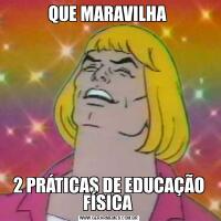 QUE MARAVILHA 2 PRÁTICAS DE EDUCAÇÃO FÍSICA 