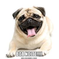 BOA NOITE!!!!
