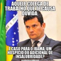 AQUELE COLEGA DE TRABALHO QUE TE CAUSA DÚVIDA:É CASO PARA O IBAMA, UM HOSPÍCIO OU ADICIONAL DE INSALUBRIDADE?