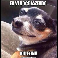 EU VI VOCÊ FAZENDO BULLYING