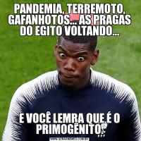 PANDEMIA, TERREMOTO, GAFANHOTOS... AS PRAGAS DO EGITO VOLTANDO...E VOCÊ LEMRA QUE É O PRIMOGÊNITO.