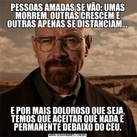 PESSOAS AMADAS SE VÃO: UMAS MORREM, OUTRAS CRESCEM E OUTRAS APENAS SE DISTANCIAM...E POR MAIS DOLOROSO QUE SEJA, TEMOS QUE ACEITAR QUE NADA É PERMANENTE DEBAIXO DO CÉU.