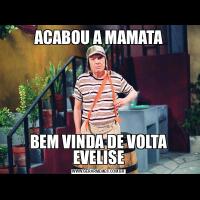 ACABOU A MAMATABEM VINDA DE VOLTA EVELISE