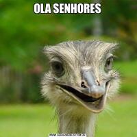 OLA SENHORES