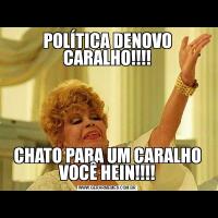 POLÍTICA DENOVO CARALHO!!!!CHATO PARA UM CARALHO VOCÊ HEIN!!!!
