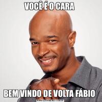 VOCÊ É O CARA BEM VINDO DE VOLTA FÁBIO 
