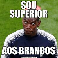 SOU SUPERIORAOS BRANCOS