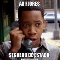 AS FLORESSEGREDO DE ESTADO 